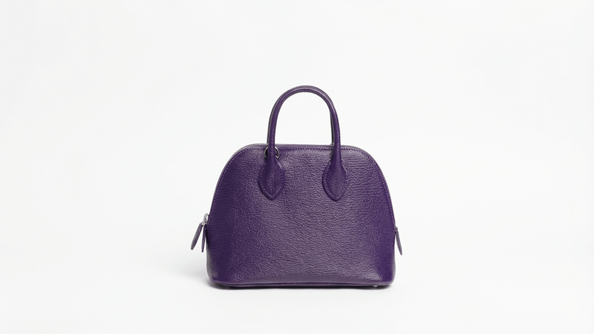 bolide-purple-ginzacelia_2.png bolide-purple-ginzacelia_2.png