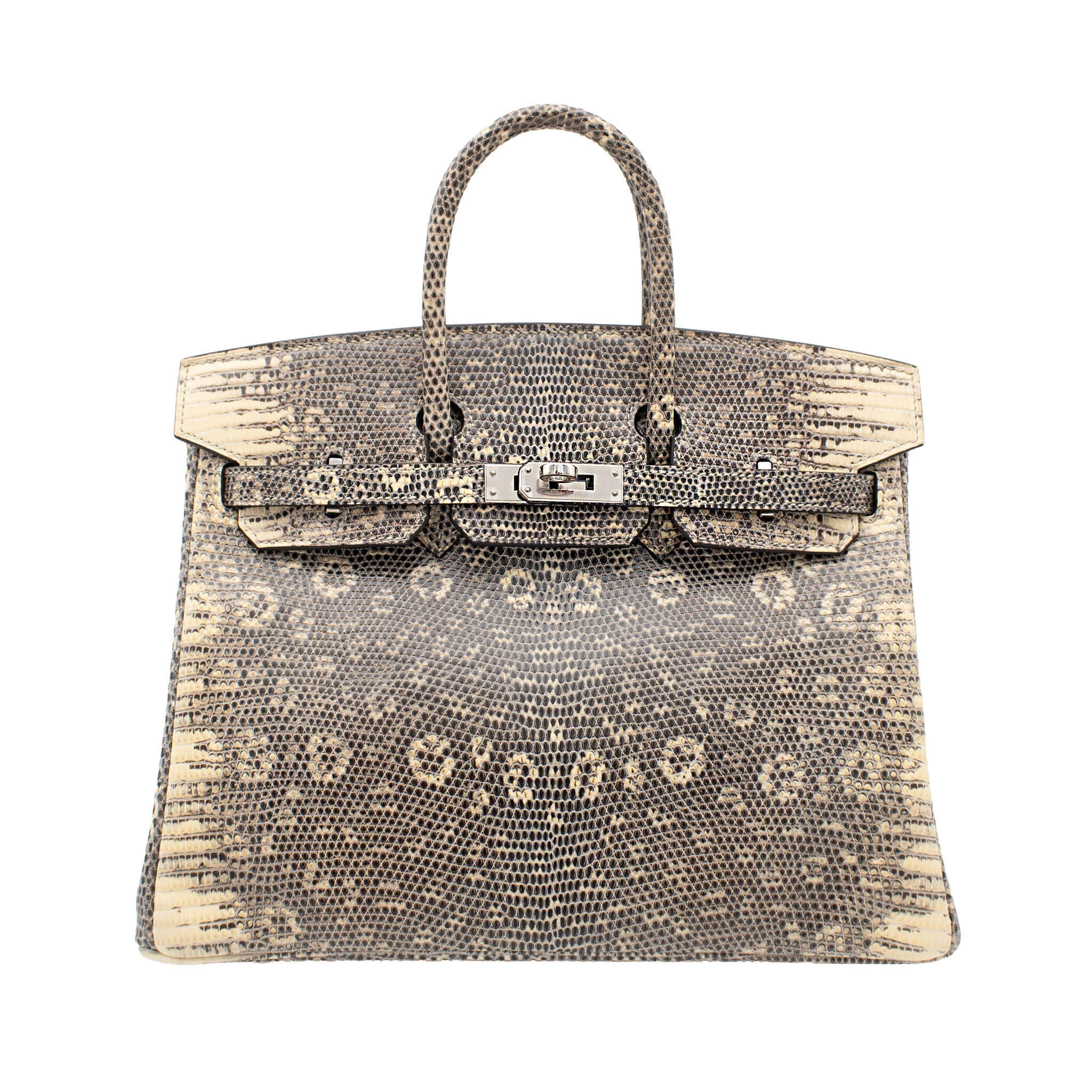 HERMES エルメス バーキン25 オンブレ リザード シルバー金具 D刻印